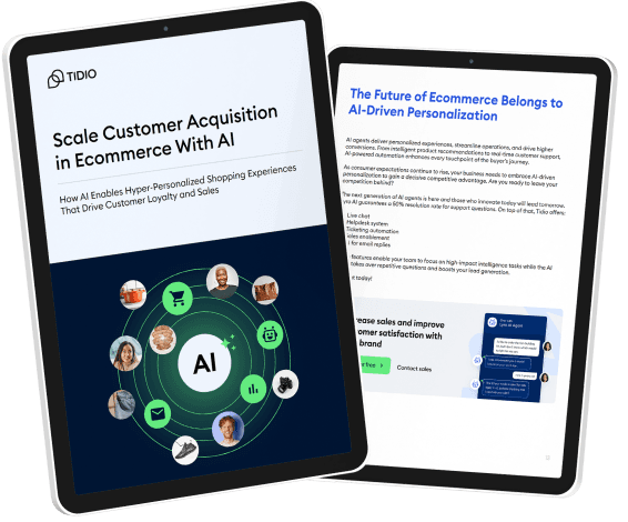 Ecommerce Ai Agent