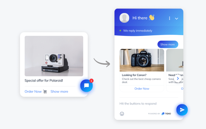 sample of sales chatbot from tidio sample of sales chatbot from tidio
