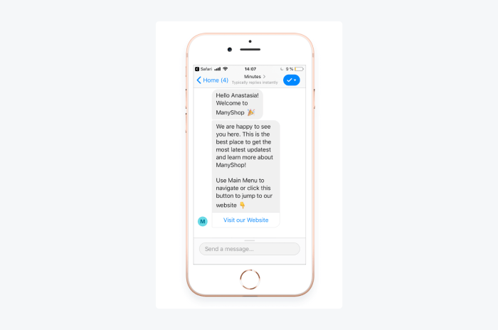 manychat chatbot window example manychat chatbot window example