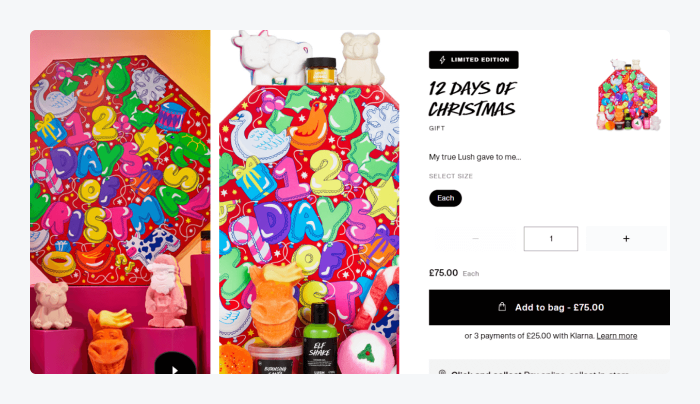 12 days of Christmas marketing campaign 12 days of Christmas marketing campaign