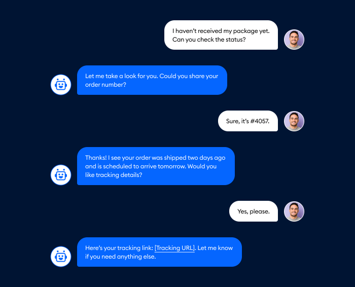 Conversation between Lyro and a visitor who wants to know the status of their order.