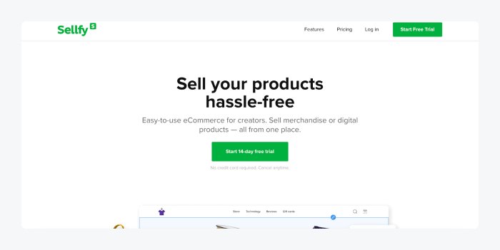 sellfy landing page sellfy landing page