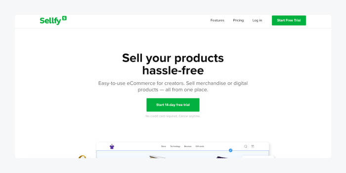 sellfy landing page