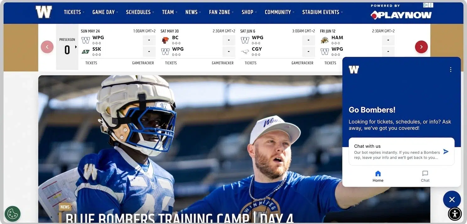 Blue Bombers case of using Lyro AI agent