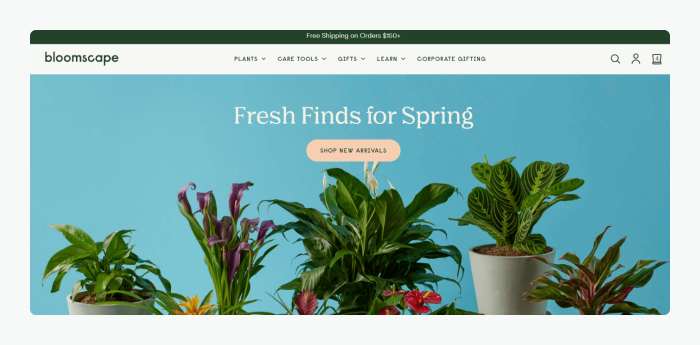 Bloomscape website image Bloomscape website image