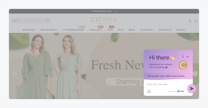 an example from Cicina of this chatbot idea an example from Cicina of this chatbot idea