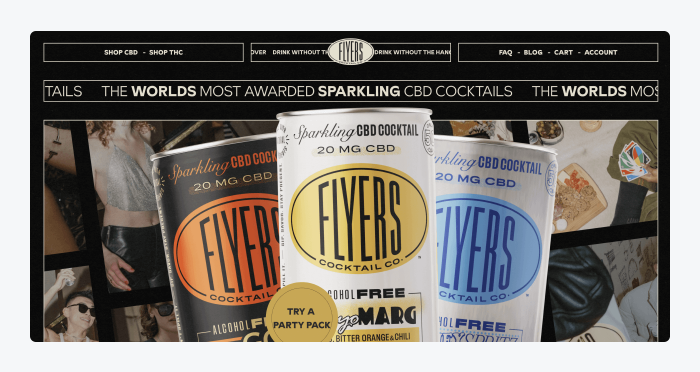 DrinkFlyers webiste image DrinkFlyers webiste image