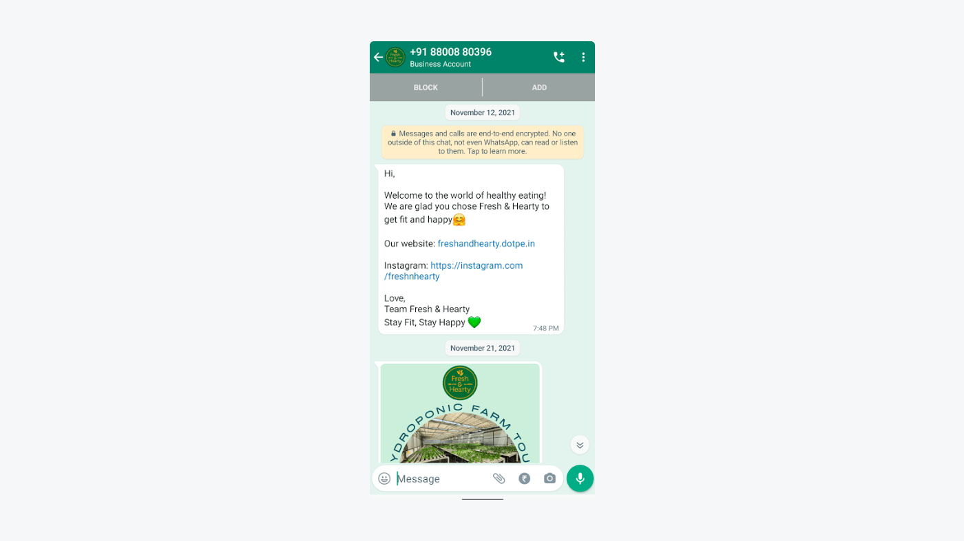 example of WhatsApp greeting messages example of WhatsApp greeting messages