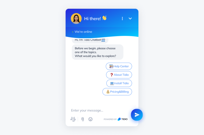 tidio chatbot window sample tidio chatbot window sample