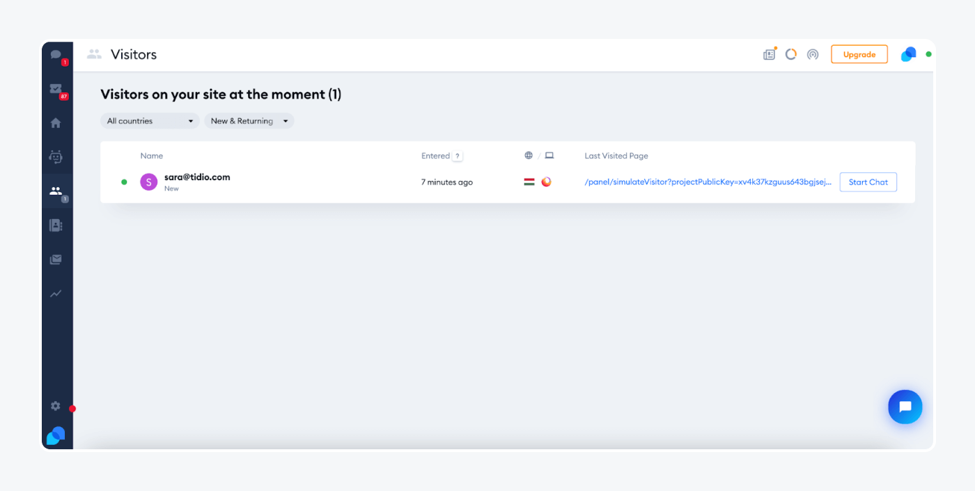 panel view visitor on your site at the moment panel view