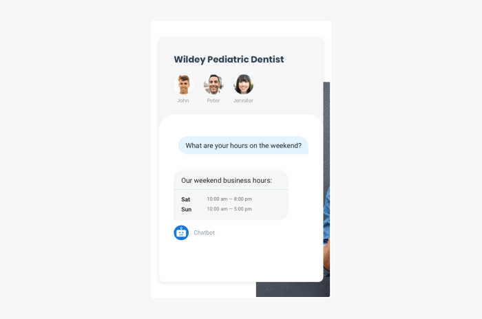 birdeye chatbot window sample birdeye chatbot window sample