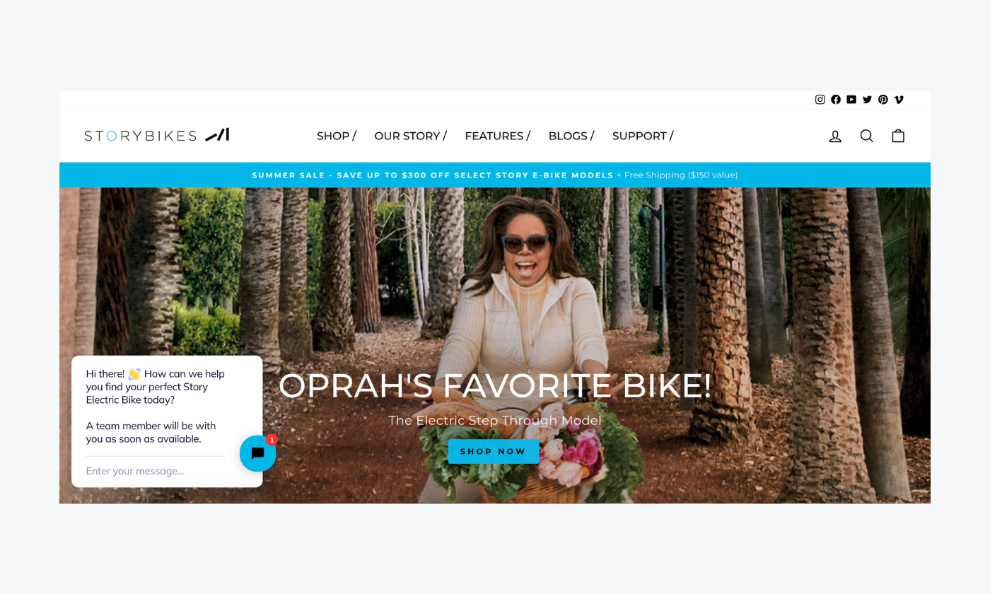 story bikes landing page with shopping bot