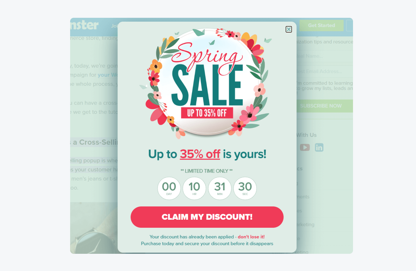 optimonster example example of pop ups design that best corresponds with your brand or that fits the occasion
