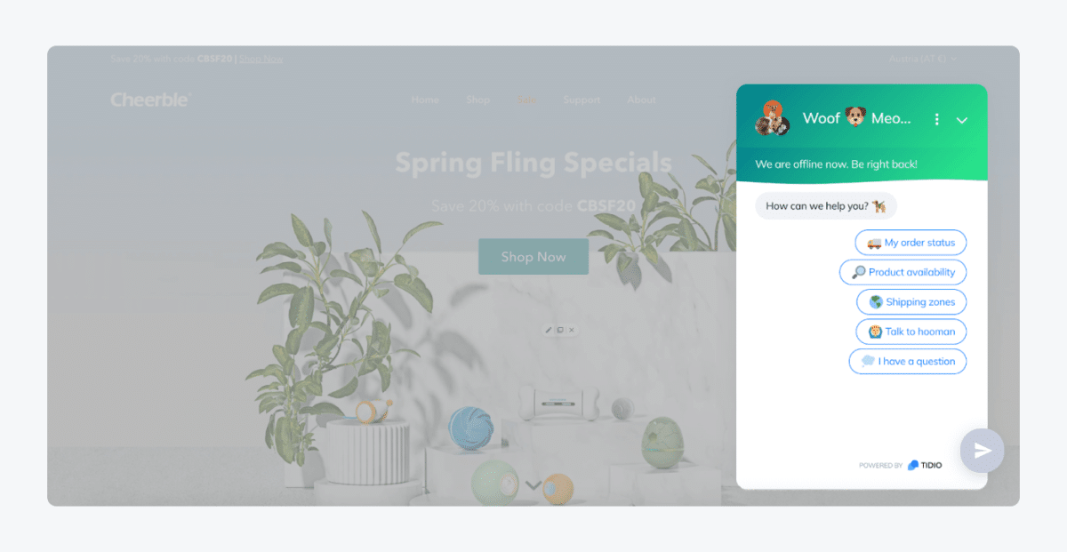 Virtual assistants example Virtual assistants example
