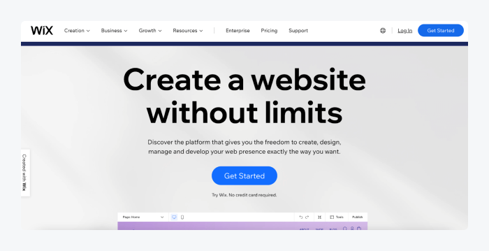 wix landing page wix landing page