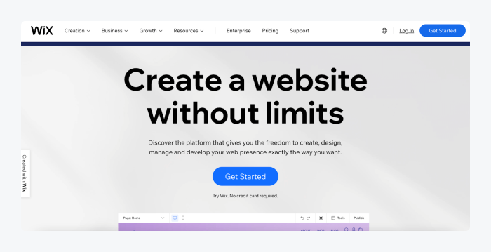 wix landing page