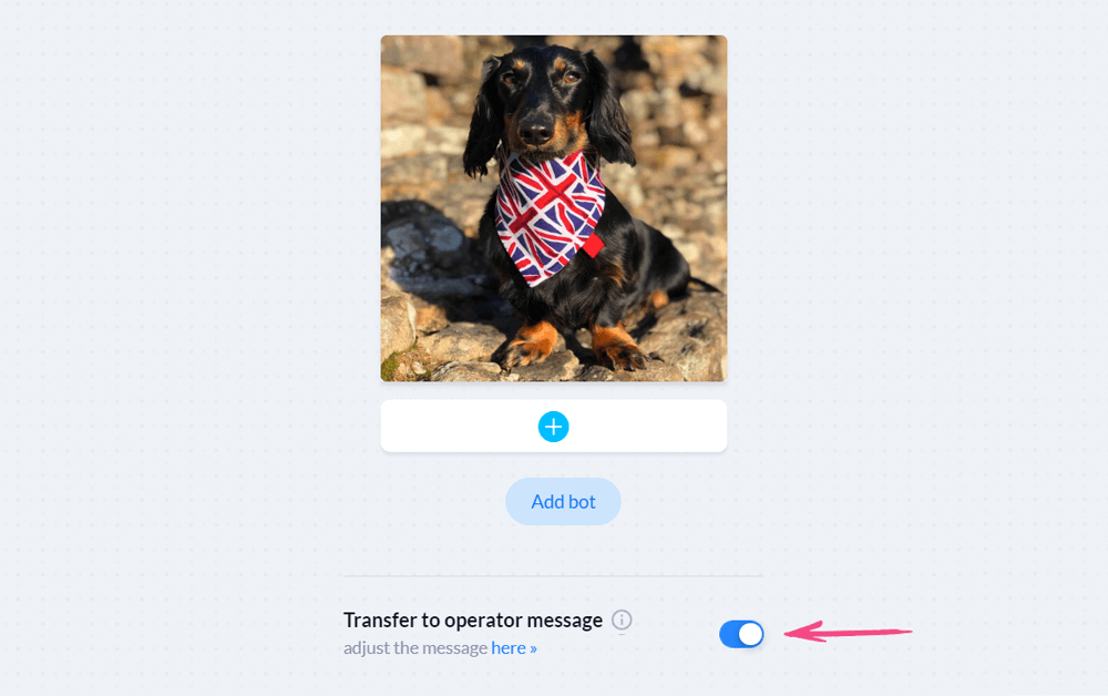 Transfer to operator message