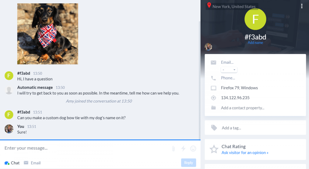 Live chat panel from the perspective of a live chat agent