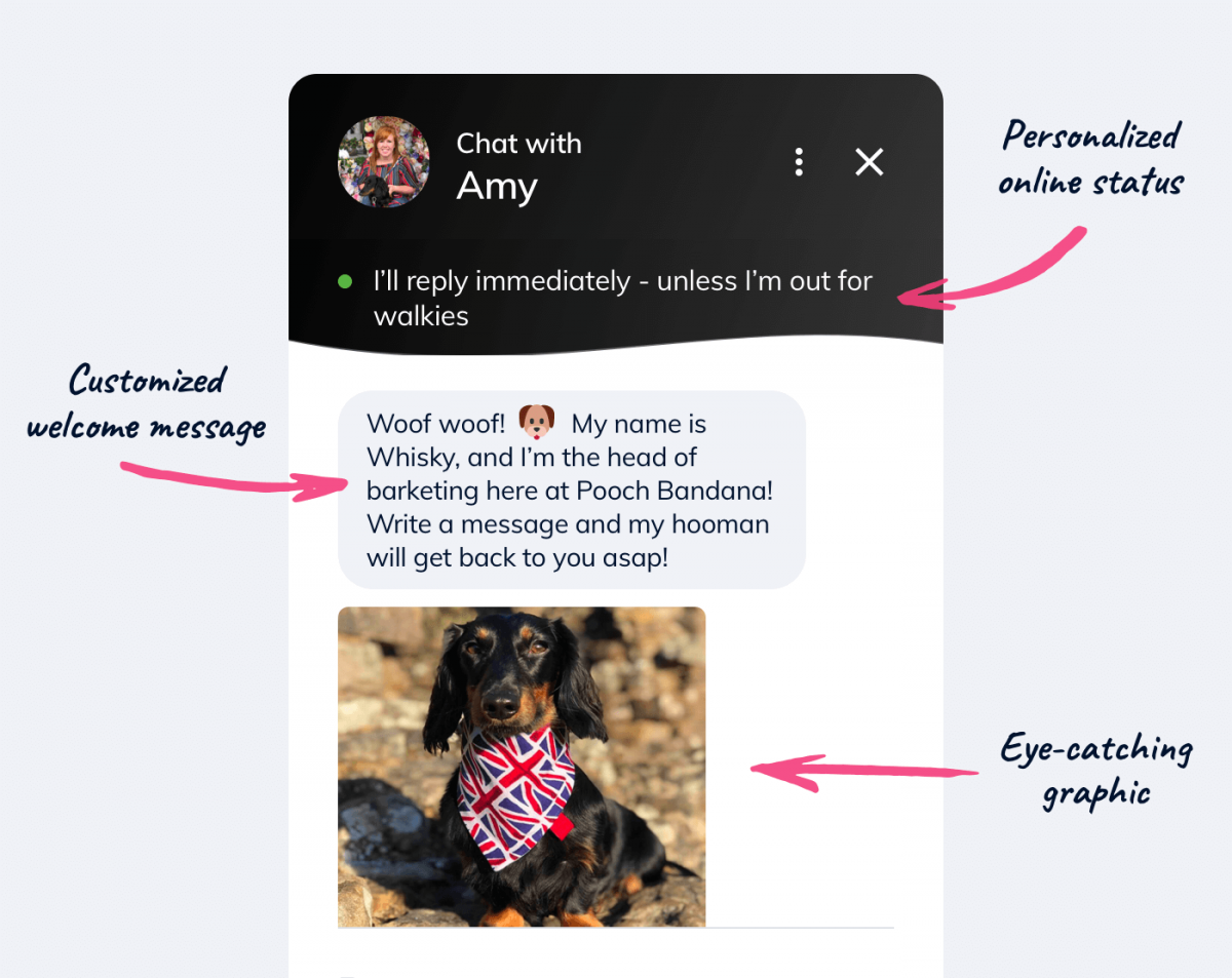 Different elements of a live chat widget