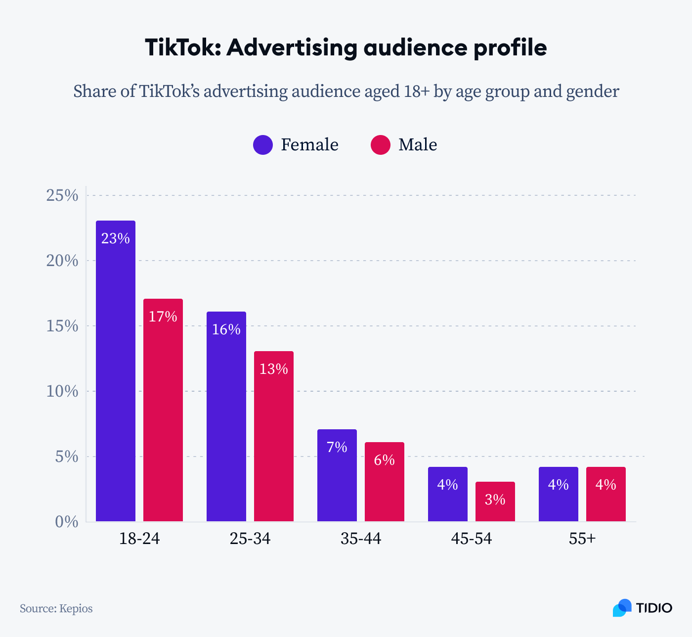 Tik Tok advertising audience profile statistics