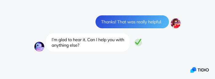 Example of a well answered customer message in chat widget