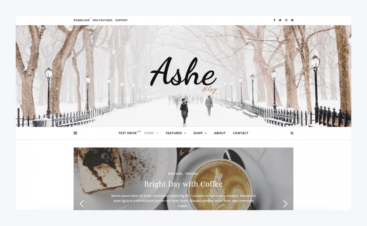 Ashe WordPress theme screenshot