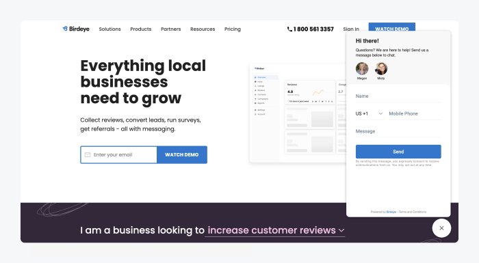 Screenshot of Birdeye homepage