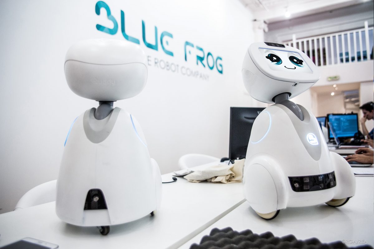 buddy chatbot