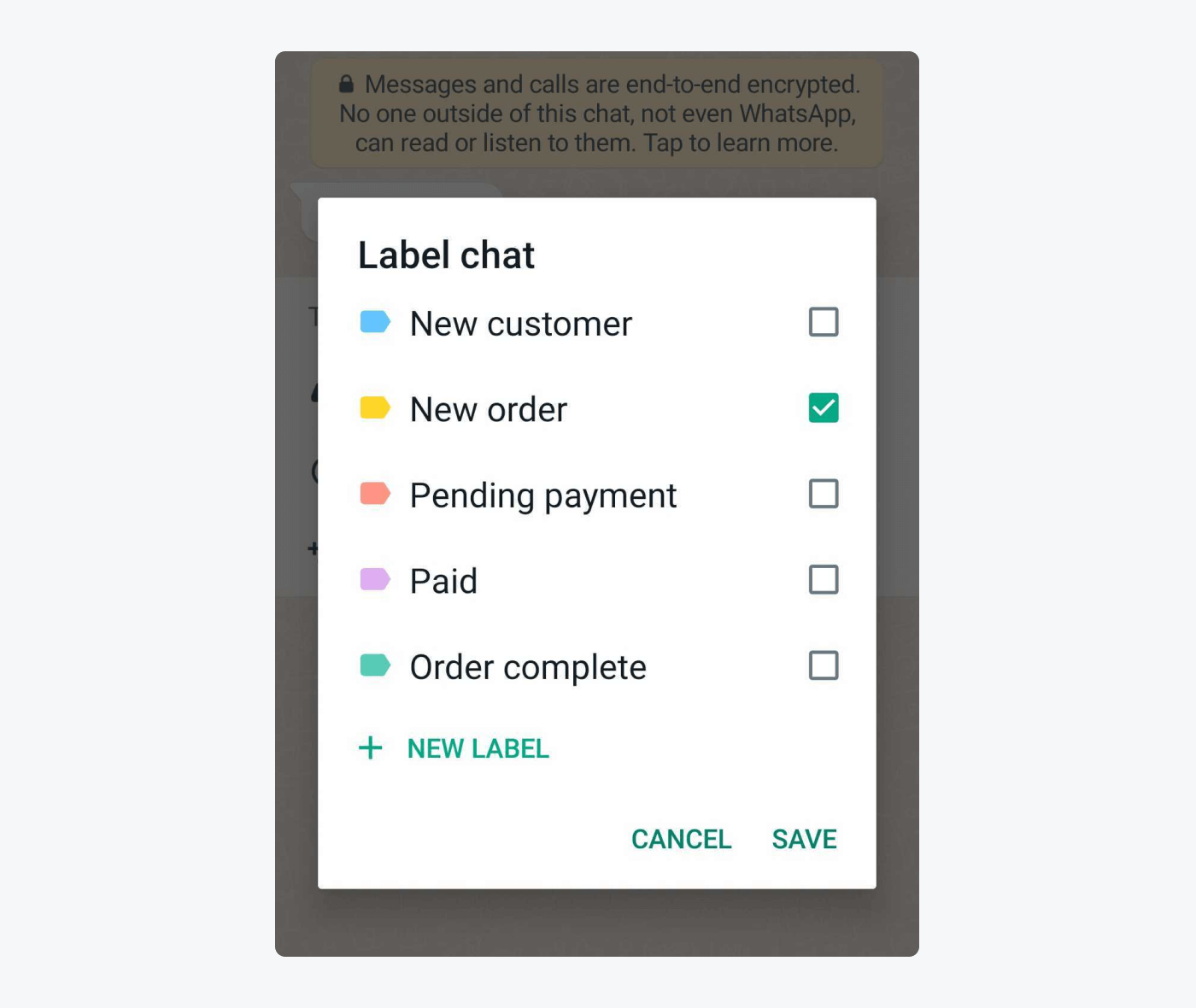 WhatsApp vs WhatsApp Business Account [Features & Benefits]