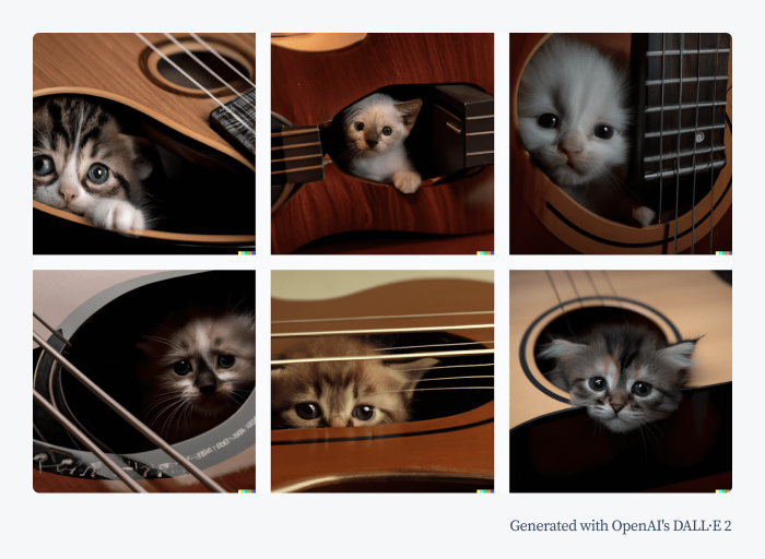 cat inside the instrument image