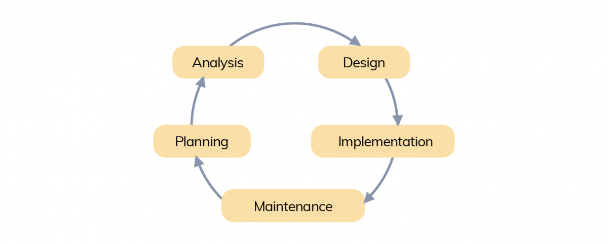 Development Life Cycle