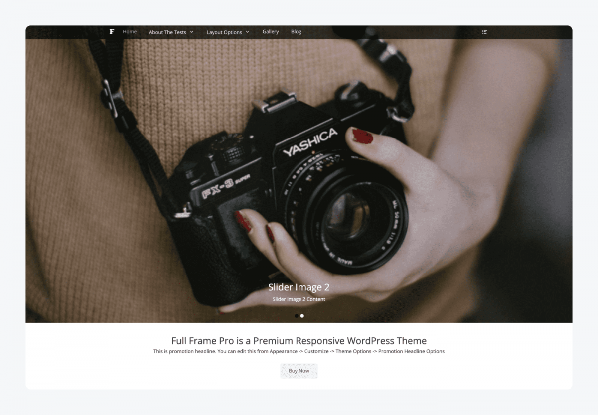 Full Frame WordPress theme screenshot