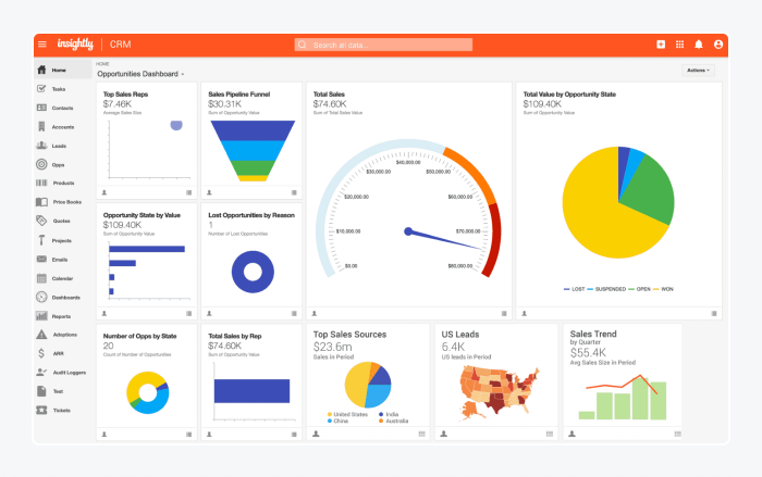 Insightly panel view Insightly panel view