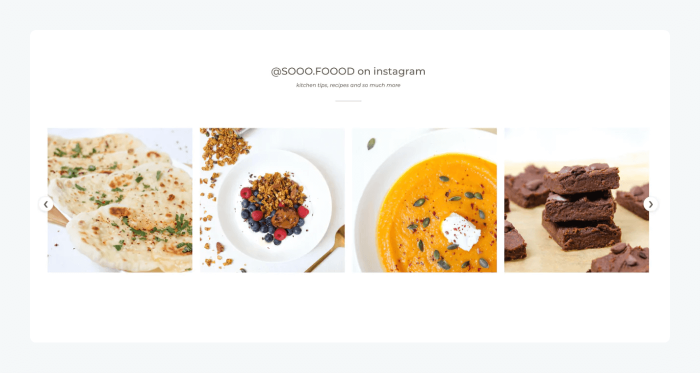 Instafeed shopify Instagram plugin example Instafeed shopify Instagram plugin example