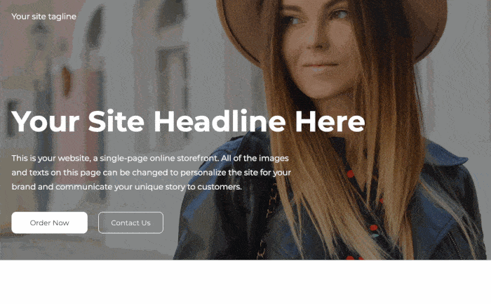Ecwid design and flexibility