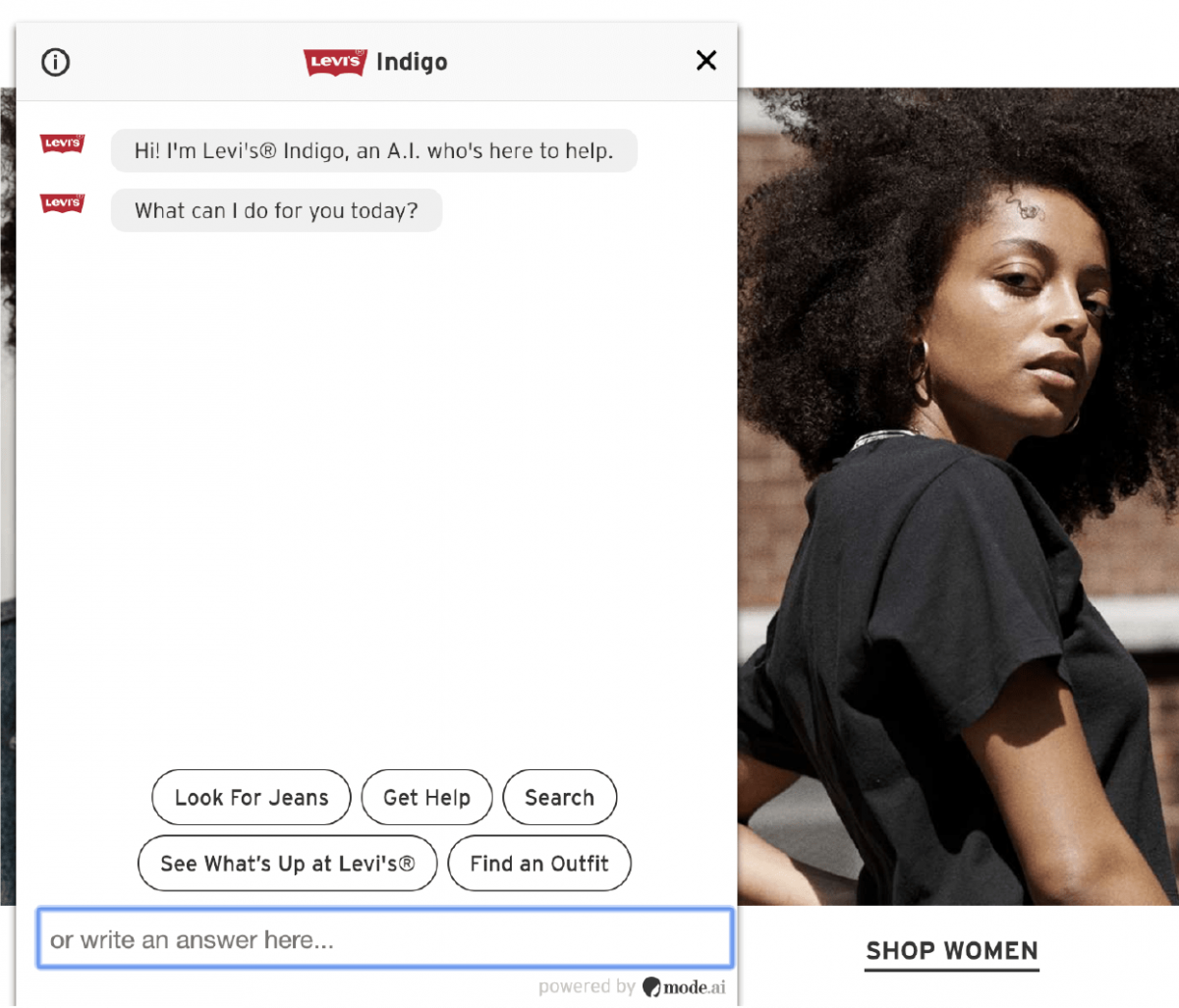 levis chatbot