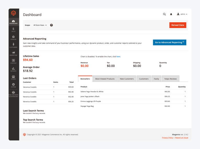 magento dashboard view graphic shows magento dashboard view