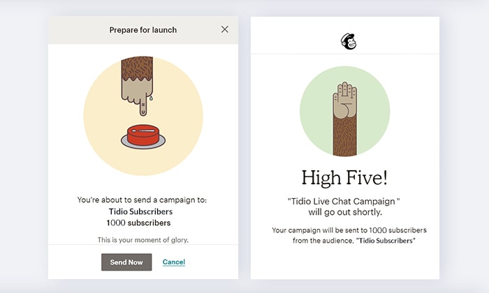 Mailchimp examples of microcopy
