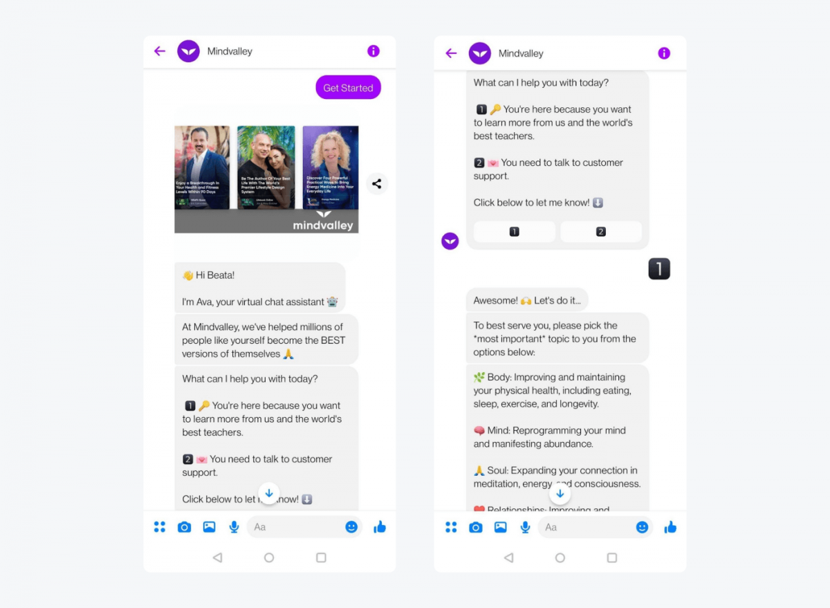 Mindvalley Chatbot example