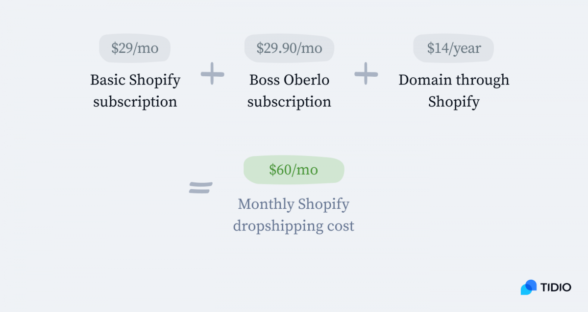Monthly dropshipping business costs calculation