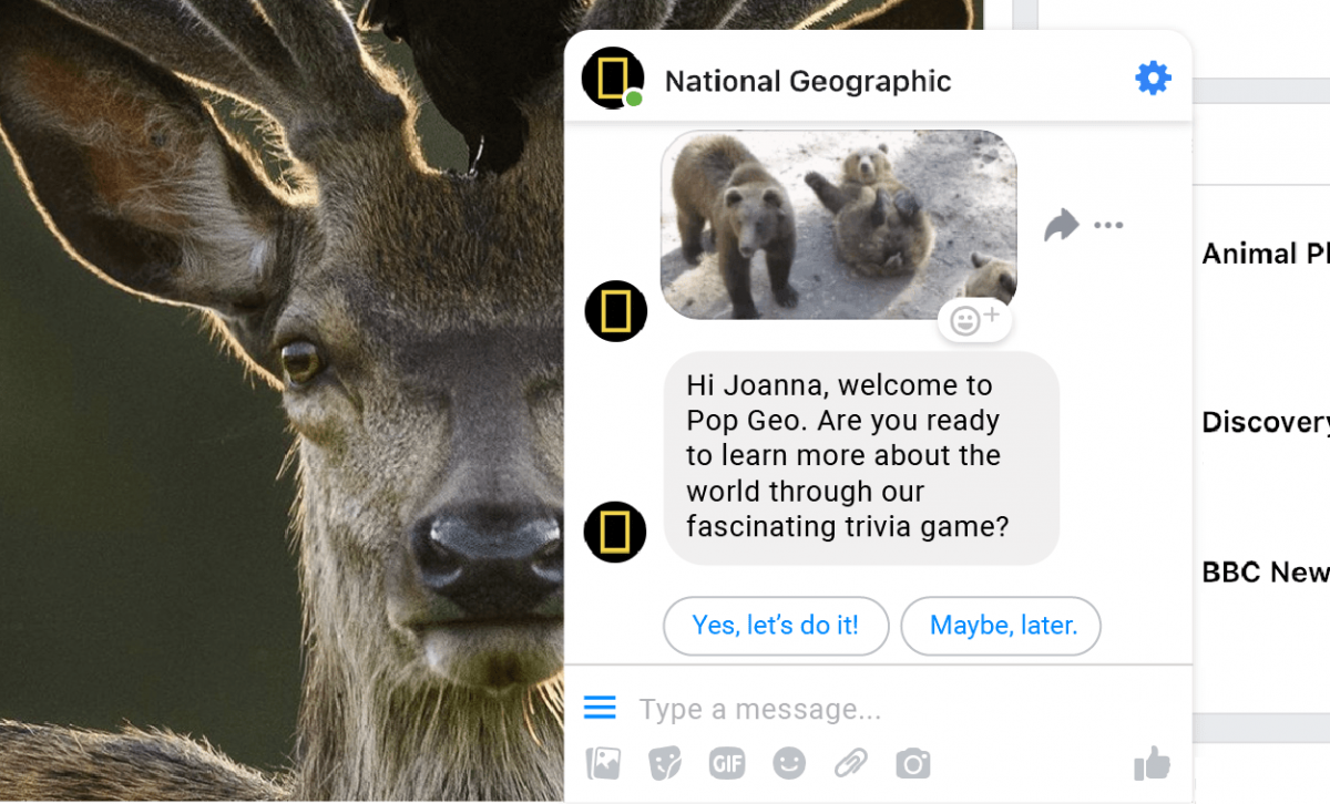 edutainment chatbot example