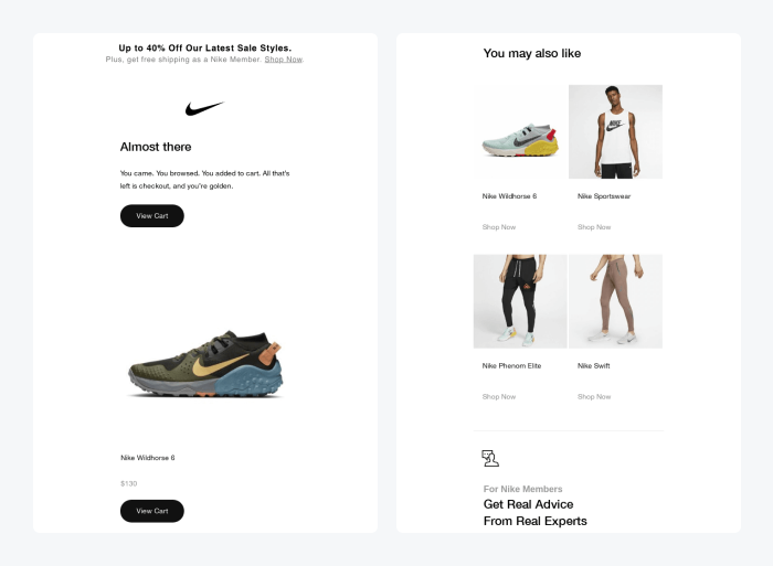 cart abandonment emails nike example