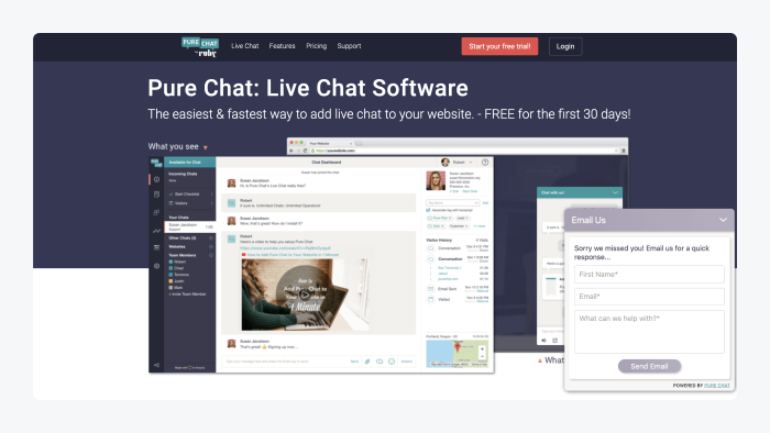Pure Chat's website with their live chat widget open