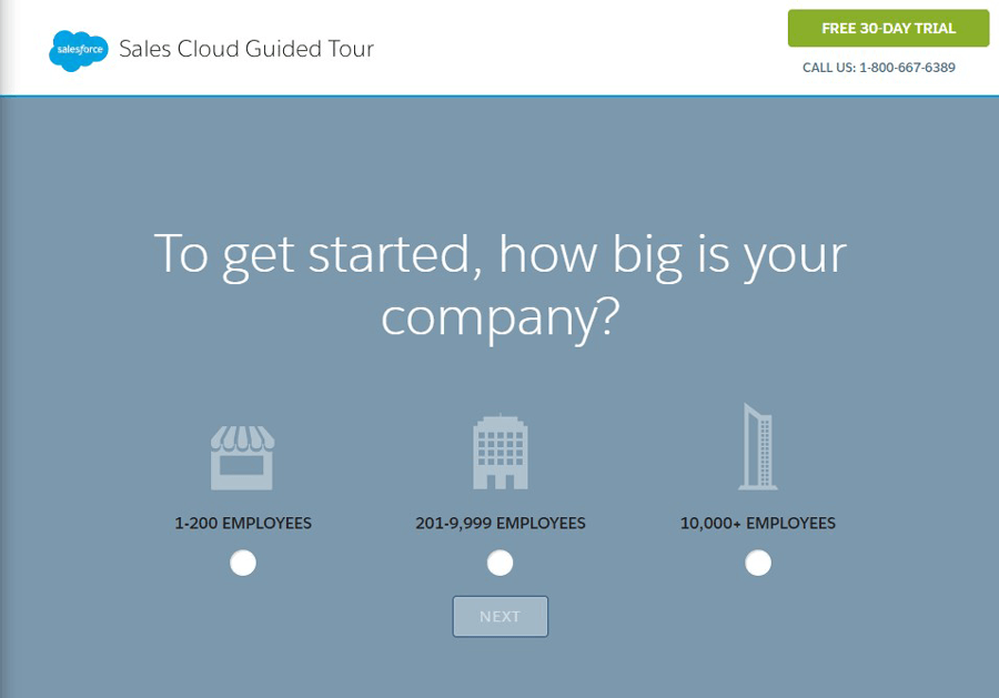 A lead generation landing page (Salesforce)