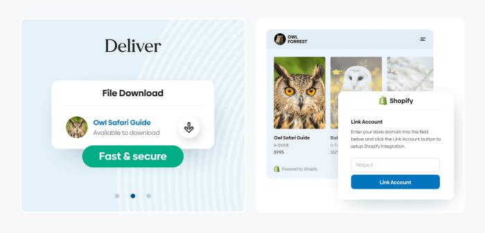 sendowl shopify podcast plugin example sendowl shopify podcast plugin example