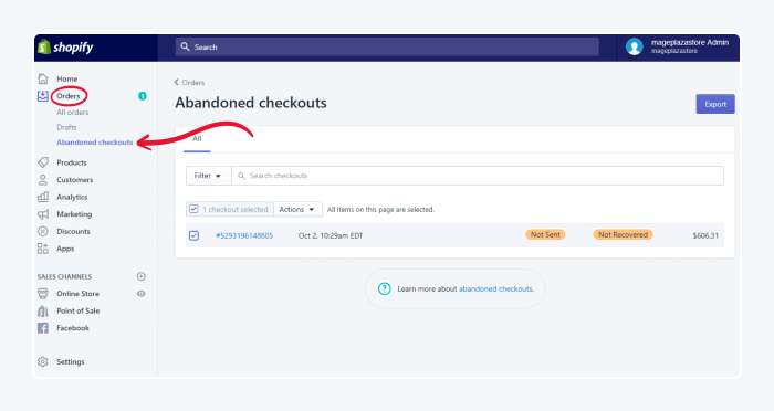 shopify abandoned checkouts sample