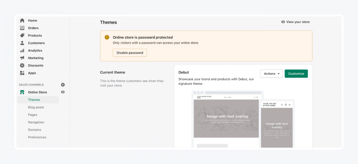 Shopify's panel: themes tab