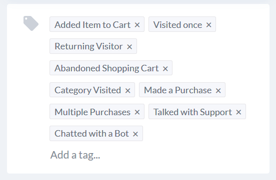 Tags for customer segmentation tidio