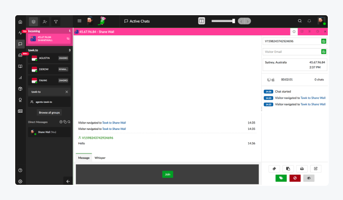 tawk.to user panel view tawk.to user panel view