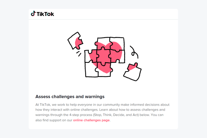 TikTok's assess challenges and warnings notification